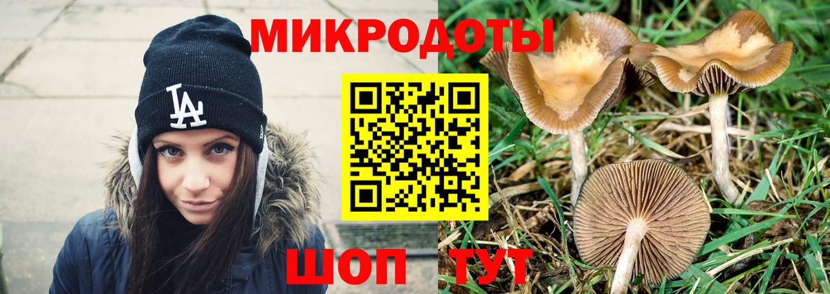 где купить наркоту  Псилоцибиновые грибы мицелий  Вход с VPN  Лабинск 