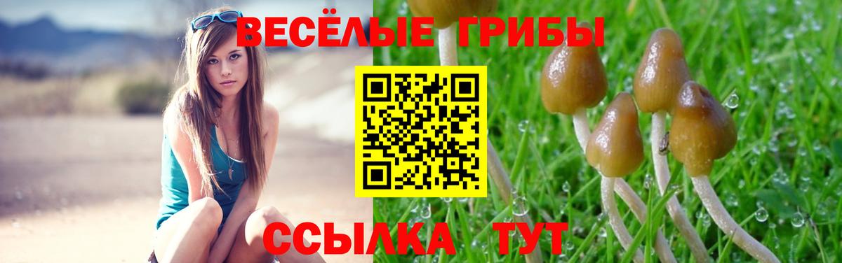 Псилоцибиновые грибы мухоморы Лабинск